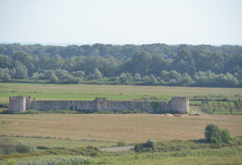 فندق Panorama Guesthouse