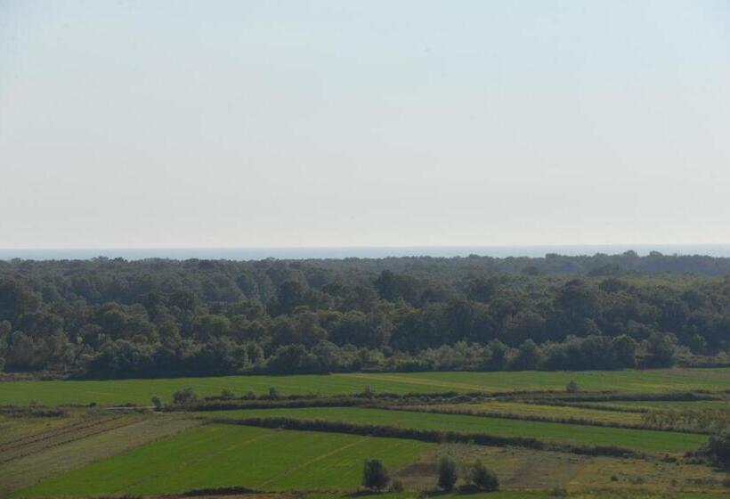 فندق Panorama Guesthouse