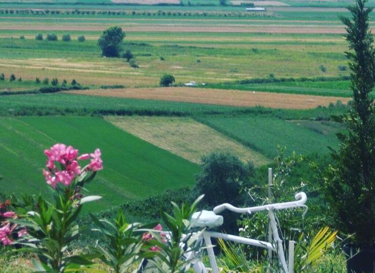 فندق Panorama Guesthouse