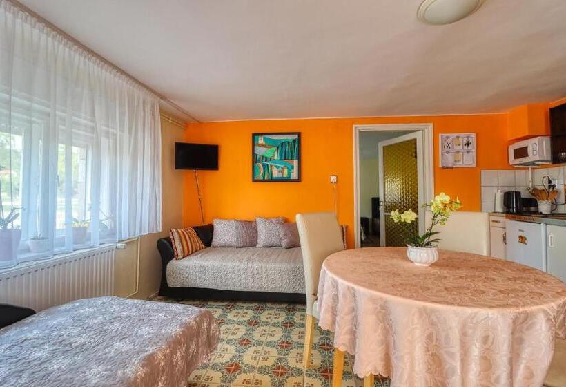 Pensionat Vincze Villa Vendégház