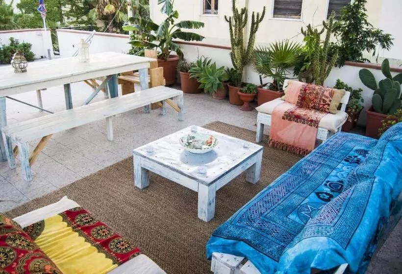 B&b Cactus