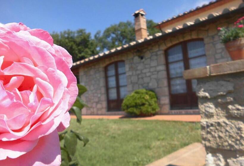 Отель Agriturismo La Castellina