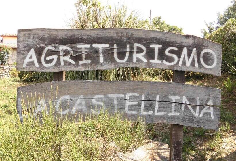 Отель Agriturismo La Castellina