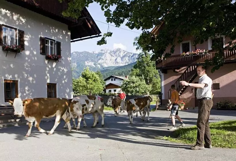 Hotelli Hansbauerhof