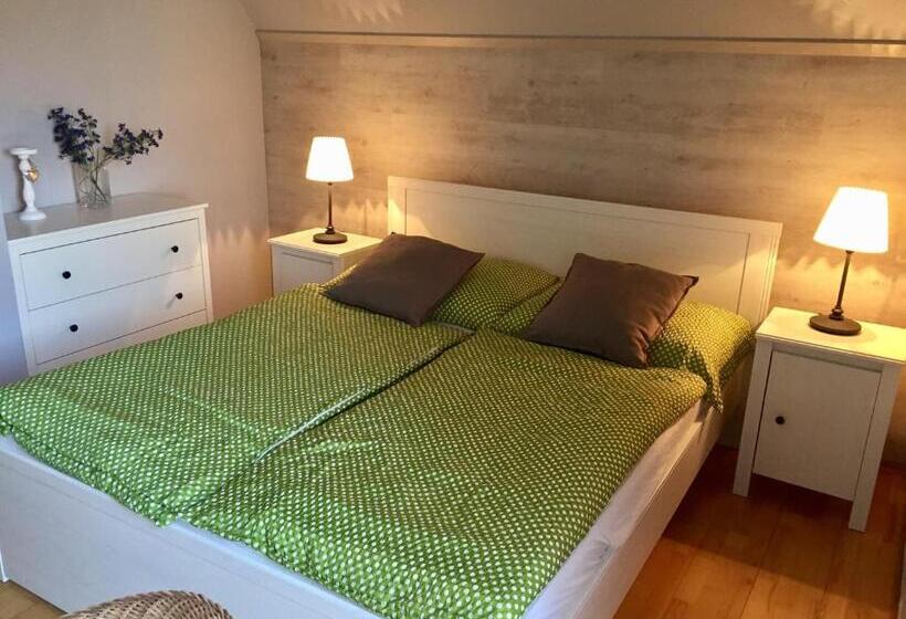 펜션 Evička Penzion