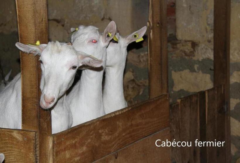 פנסיון Gostifrance