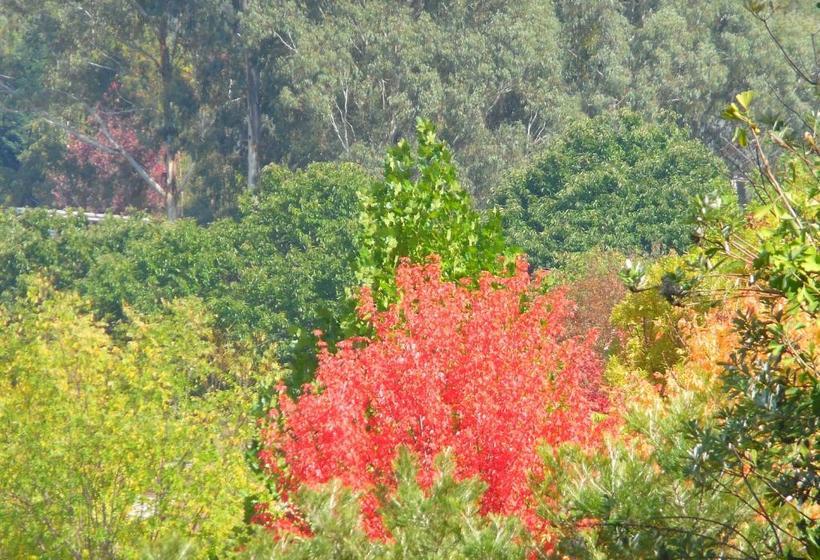 Bright Highland Valley Cottages