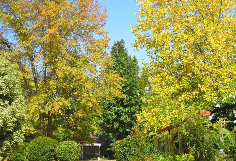 Bright Highland Valley Cottages