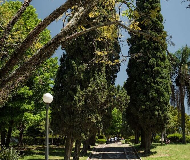 Frontier Hotel Rivera