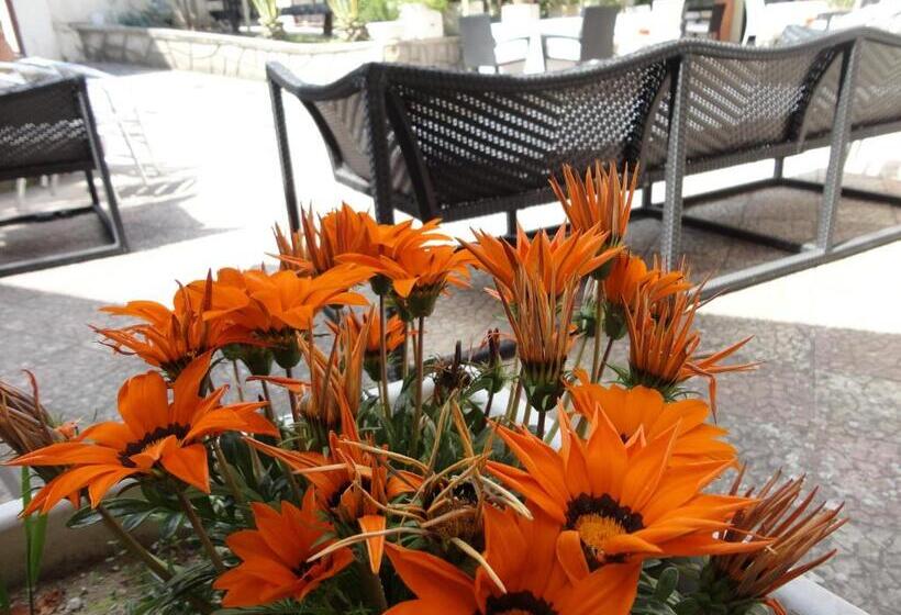 בית מלון כפרי Residence Palomba