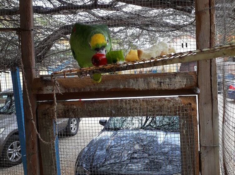 Sea Horizon Apartments