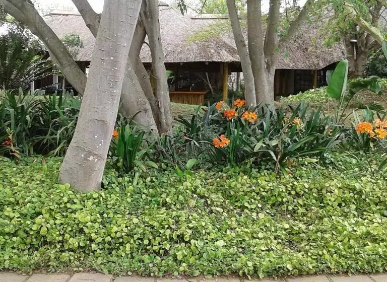 Ascot Inn