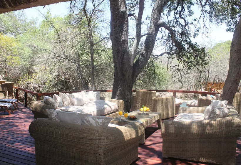 ホテル Kusudalweni Safari Lodge And Spa