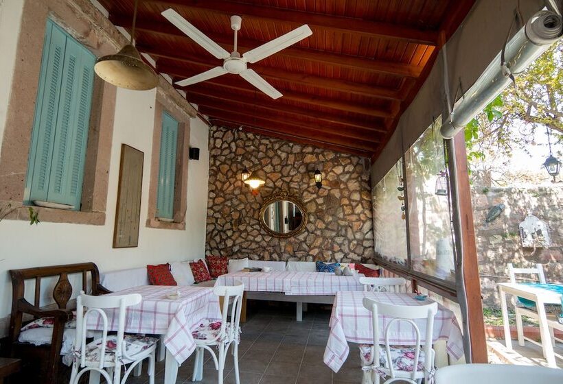 בית מלון כפרי Son Vapur Kuleli Konukevi