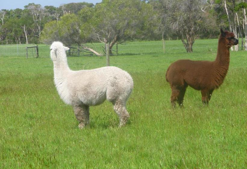 Karingal Homestead B&b