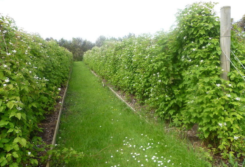 Karingal Homestead B&b