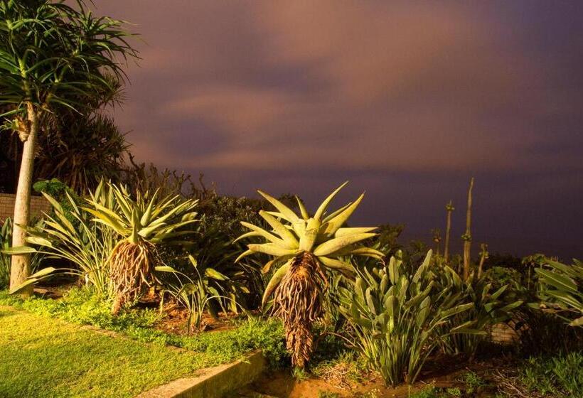 Misty Blue Bed And Breakfast