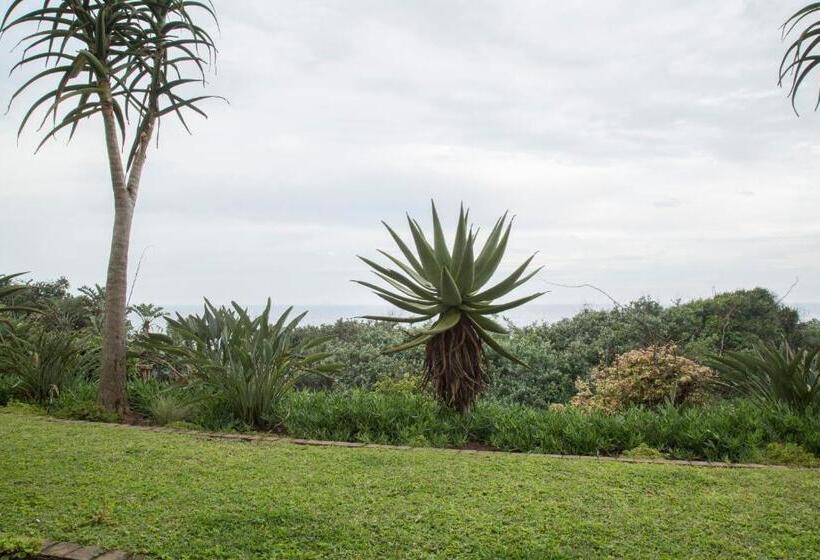 Misty Blue Bed And Breakfast