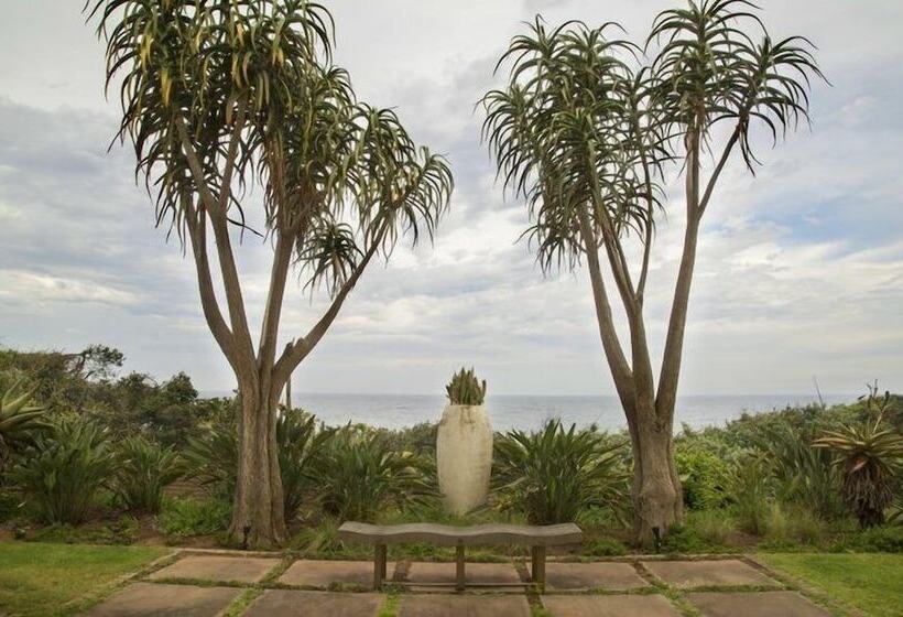 Misty Blue Bed And Breakfast