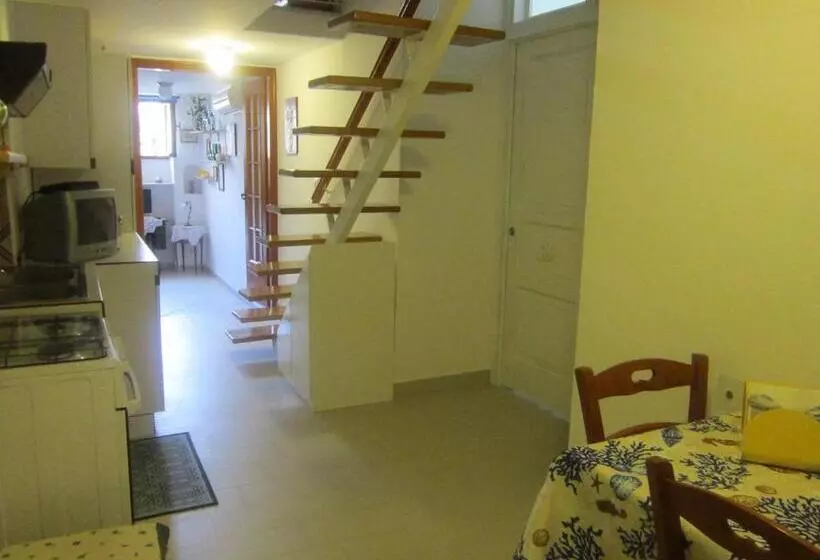 Villa Apollo B&b