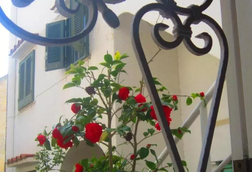 Villa Apollo B&b