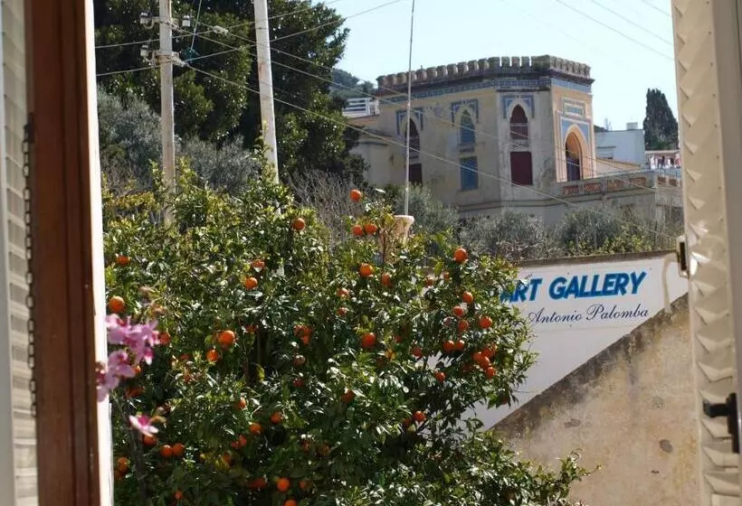 Villa Apollo B&b