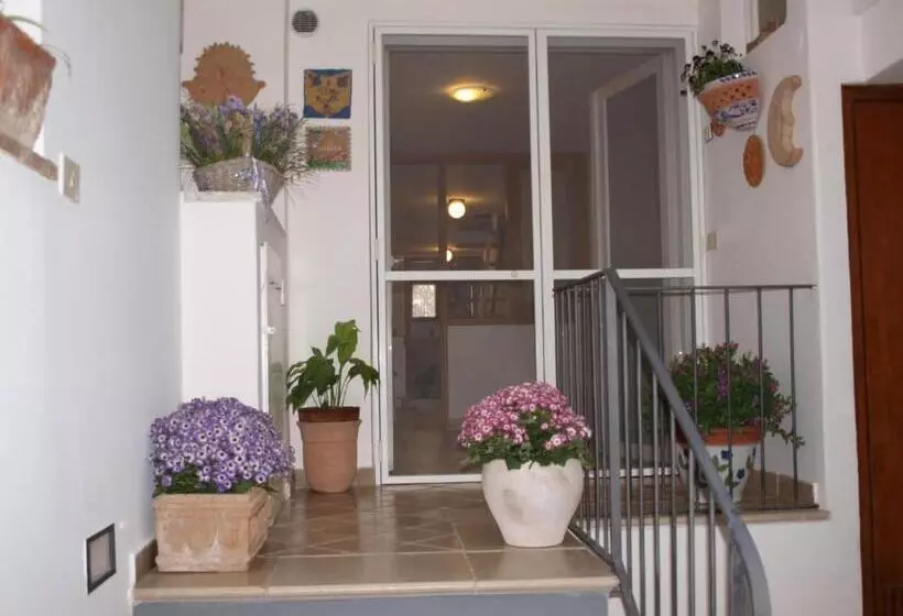 Villa Apollo B&b