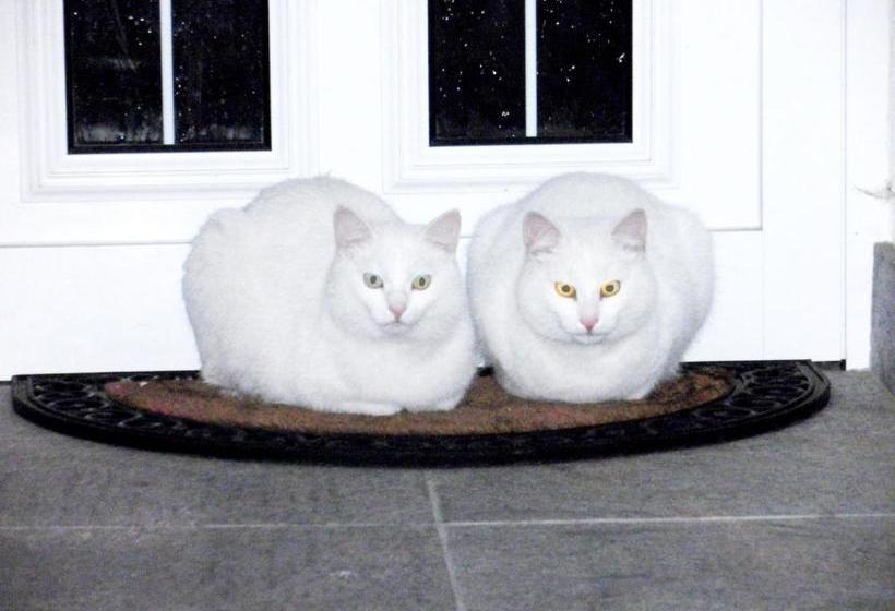 B&b Haus Seethaler Kein