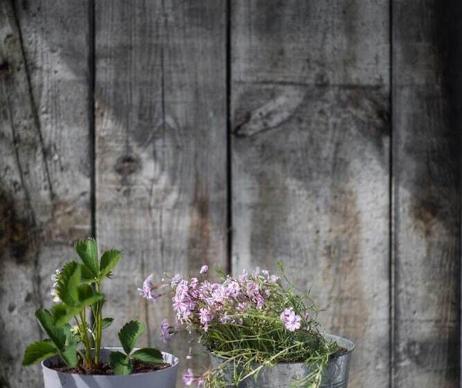 تختخواب و صبحانه Les Chambres Du Vivier, Chambres D Hôtes Et Gîte   à 100m