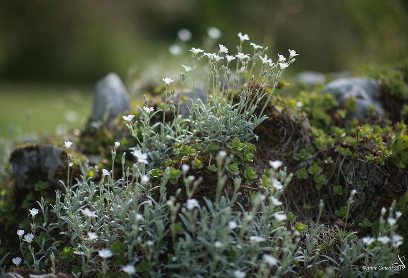 تختخواب و صبحانه Les Chambres Du Vivier, Chambres D Hôtes Et Gîte   à 100m