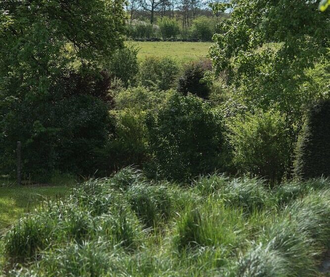 تختخواب و صبحانه Les Chambres Du Vivier, Chambres D Hôtes Et Gîte   à 100m
