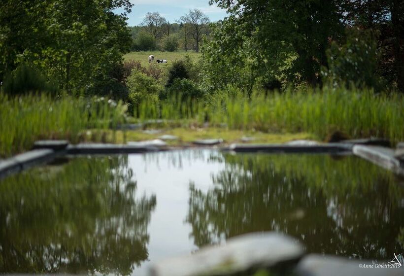 تختخواب و صبحانه Les Chambres Du Vivier, Chambres D Hôtes Et Gîte   à 100m