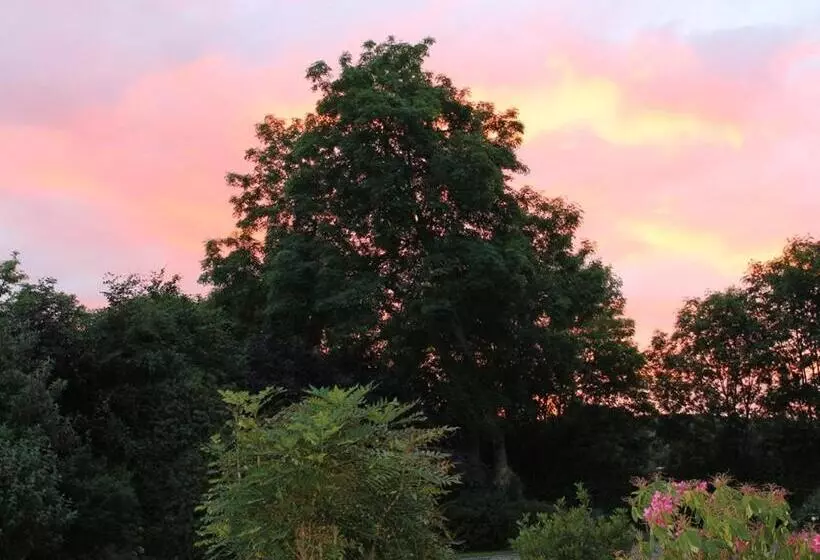 Blossom Hill Bed And Breakfast