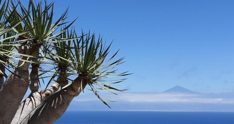 فندق Apartamentos Escuela