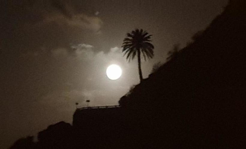 فندق Apartamentos Escuela