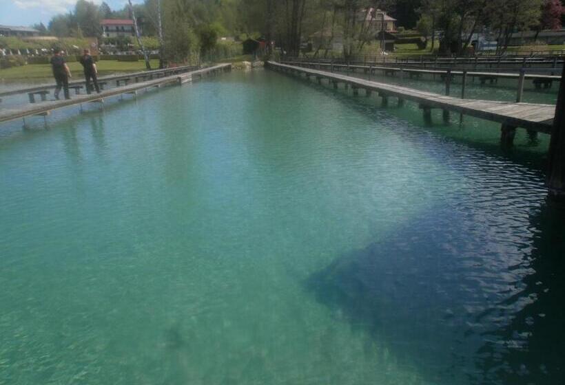 Otel Ferienpension Garni Hubert Rigelnik