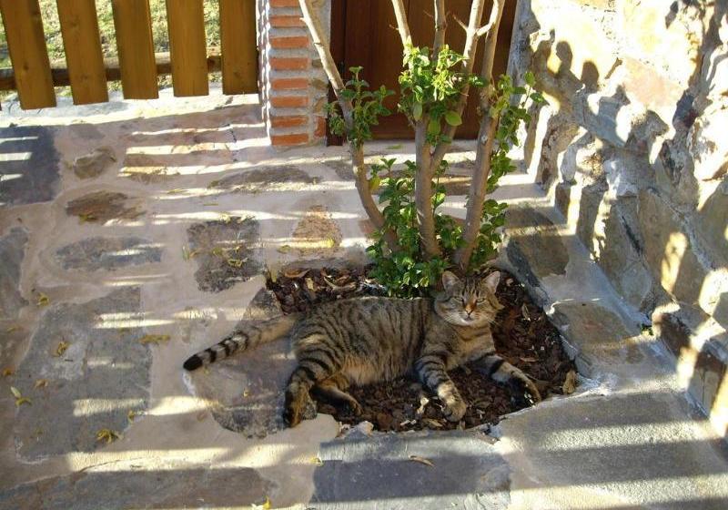 ホテル Finca El Jiniebro