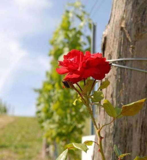 Отель Osternacherhof