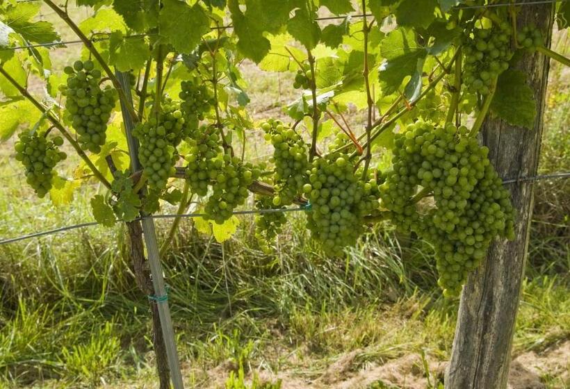 Отель Osternacherhof