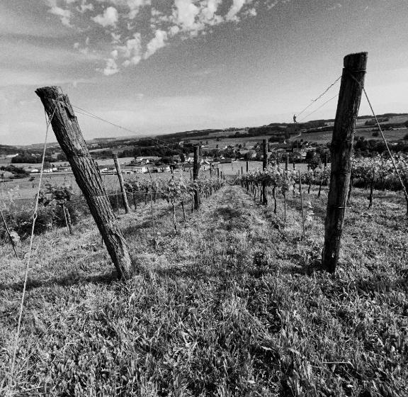 Отель Osternacherhof