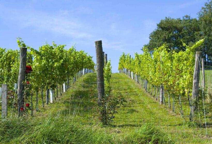 Отель Osternacherhof