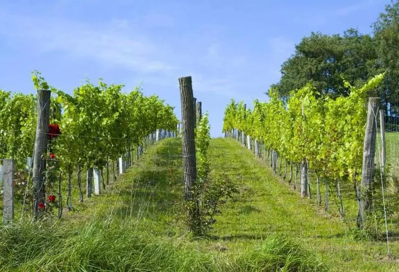Hotelli Osternacherhof