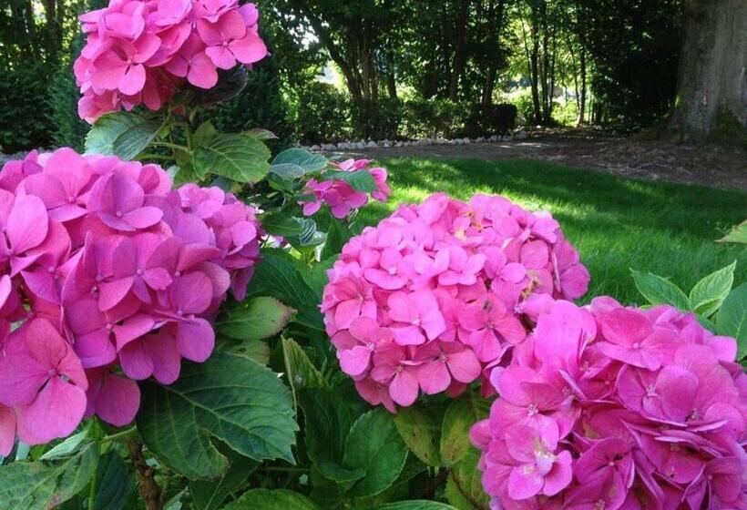 酒店 Villa Adélaïde