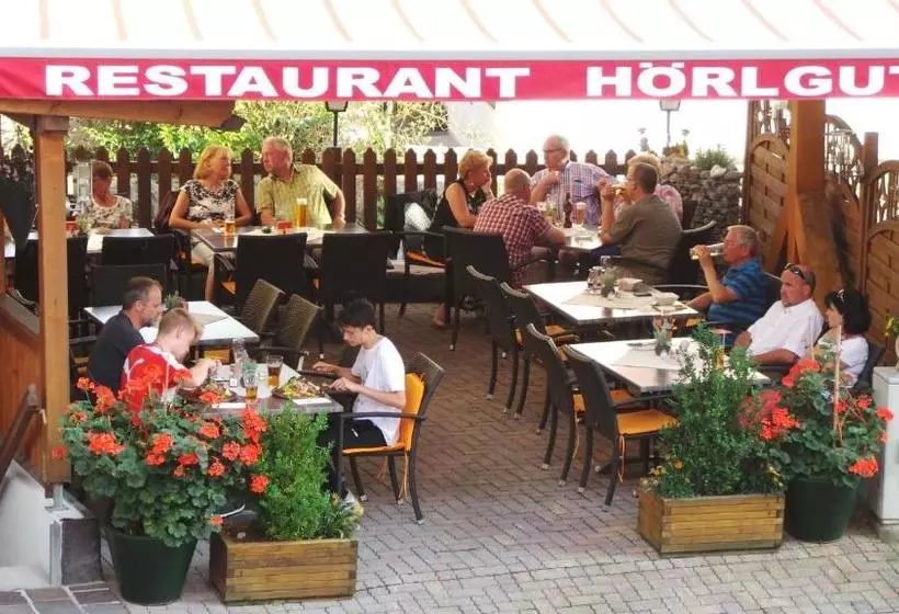 Hotelli Hörlgut