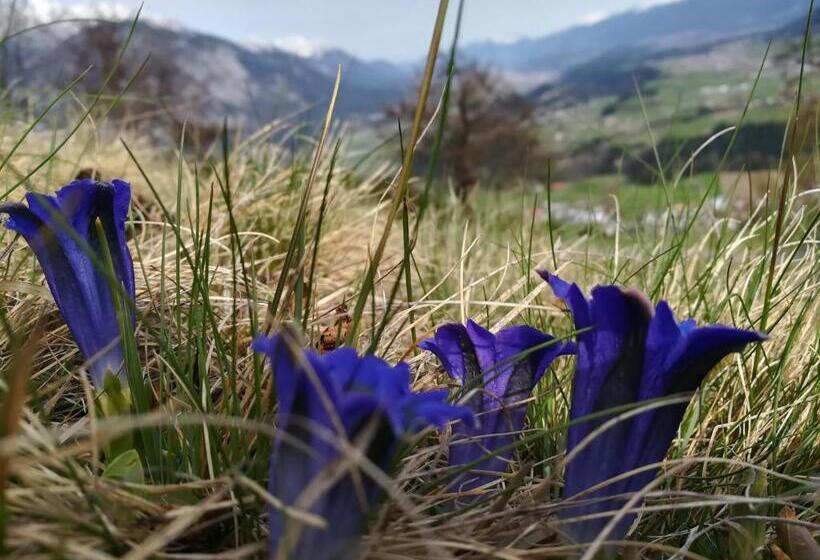 Huber   Das Tiroler B&b