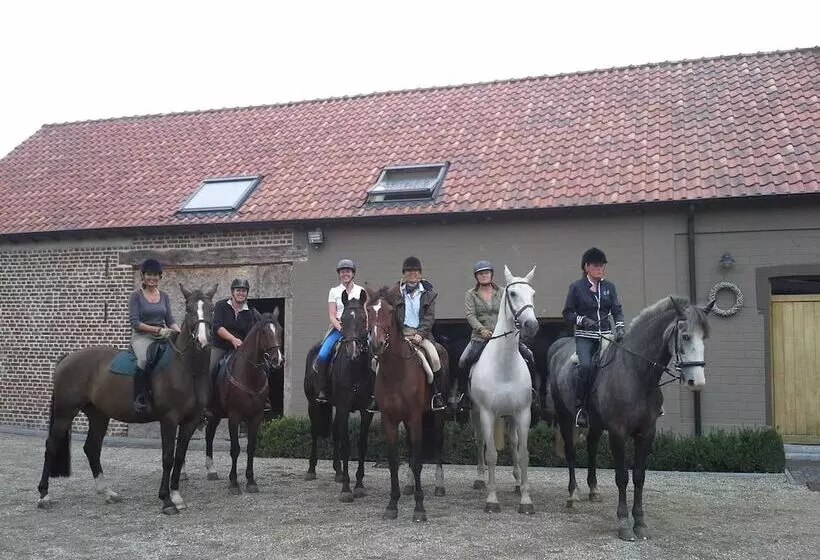 B&b Crijbohoeve