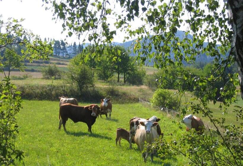 مبيت وإفطار Ferienhof Stanzl