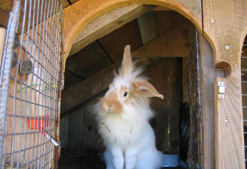 مبيت وإفطار Ferienhof Stanzl