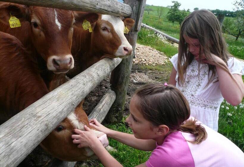 مبيت وإفطار Ferienhof Stanzl