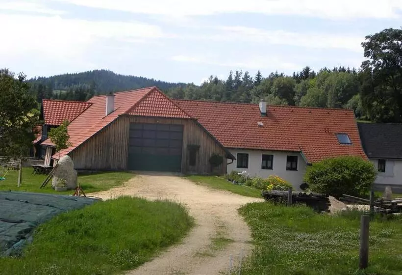 ベッドアンドブレックファースト Ferienhof Stanzl